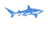 Requin bleu