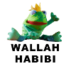 Habibi