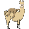 Sloth rides on llama