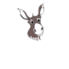 Donkeys beautify the world