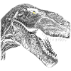 T Rex