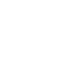 Braunbär Silhouette