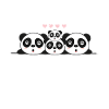 Panda amis