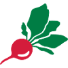 Radish