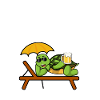 Chillkröte Schildkröte Bier Geschenk Geschenkidee