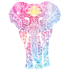 Elephant mandala pattern