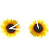 Sunflower Bicycle