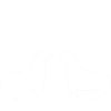 Moin seals