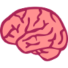brain