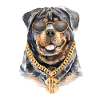 cool rottweiler