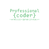 Programmer