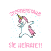 Einhorn Hen Party Bachelorette Party