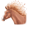 Amazing Horses