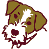 Kromi
