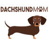 Dachshund MOM