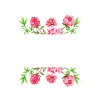 FLOWER POWER