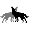 2 Wolf Dogs
