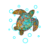 turtle