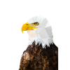 Weißkopfseeadler im  Low-Poly-Stil