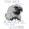 Eagle saying gift shirt