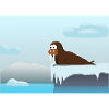 walrus