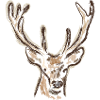 I Love Deer Outfit