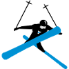 Freestyle skiing