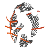 Empreintes digitales de basketball