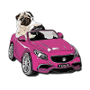 Carlin au volant