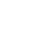 Eagle / Bald Eagle