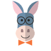 Donkey donkey animals