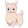 baby alpaca