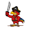 Pirate parrot. gift idea