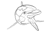 Dauphin Marine - one line drawing