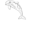 Delfin - one line drawing