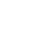 Professional Drone Pilot