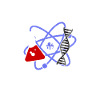 Atom