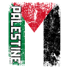 PALESTINE FLAG Palestina flagga stor retro