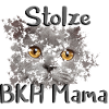 Stolze BKH Mama