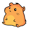 Chubby little hamster