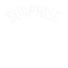Party