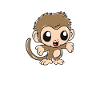 monkey