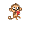 monkey