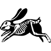 Black rabbit skeleton.