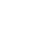Pilot