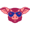 pig sunglasses animal