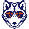 wolf sunglasses animal sun