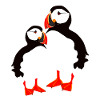 two puffins