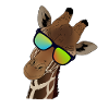 Coole Giraffe mit Sonnenbrille Geschenkidee