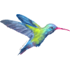 AD Hummingbird